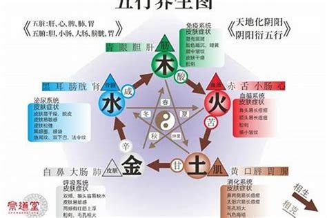 五行火旺的人|雷門易：八字中火多火旺對命主有何影響？